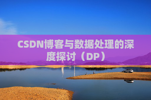 CSDN博客与数据处理的深度探讨（DP）
